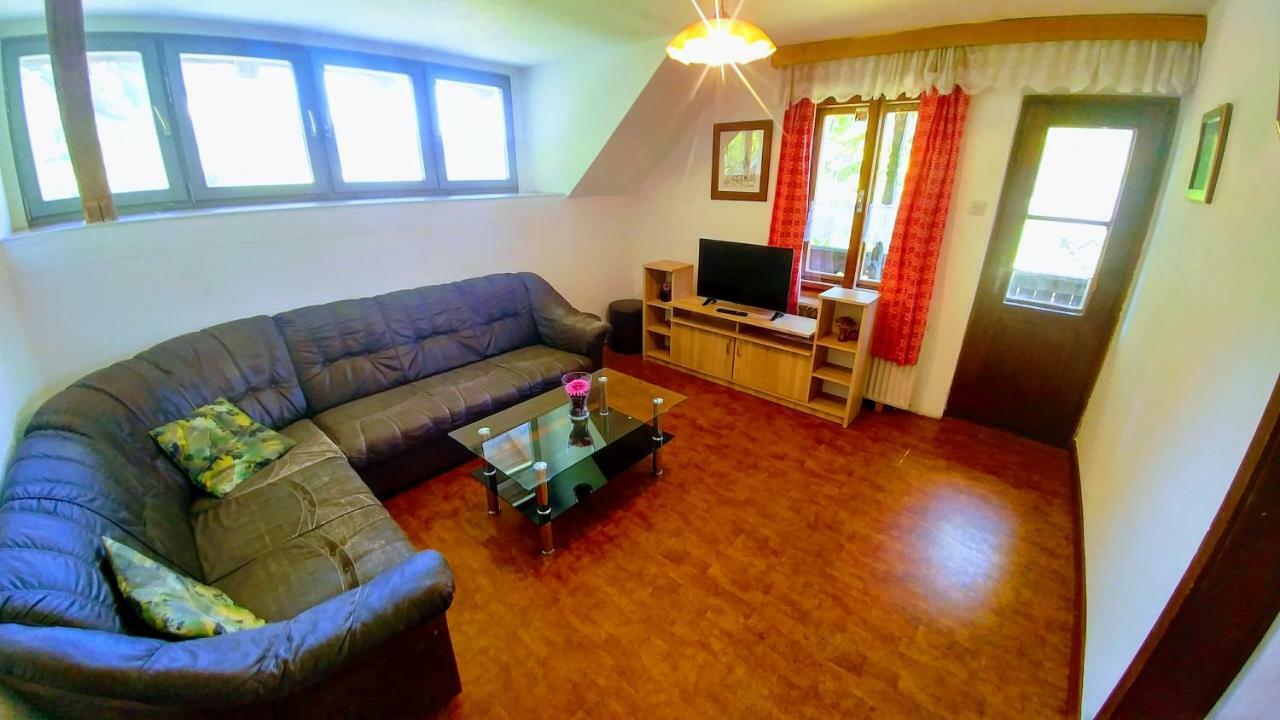 Vihar Apartmaji Bohinj Εξωτερικό φωτογραφία
