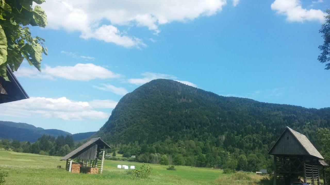 Vihar Apartmaji Bohinj Εξωτερικό φωτογραφία